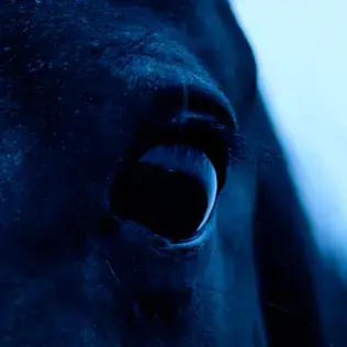 Kublai Khan (USA-2) : The Mountain of Corsicana